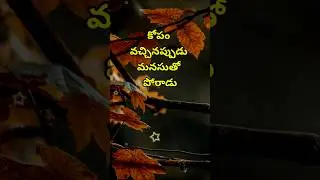 Jeevitha satyalu #2817 | neethi vakyalu | manchi matalu | quotations | top matalu | telugu sukthulu