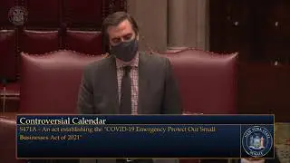 Senator Gianaris Speaks on Small Business Relief - January 19, 2021