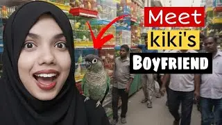 New Male Conure for My Old Conure Kiki- Biggest Bird Market to New Home🥰