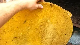 Como derreter cera velha de abelha - Método barato, rápido e eficiente.