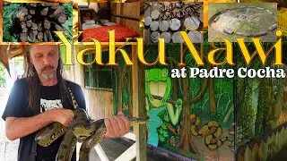 Yaku Nawi at  Padre Cocha, Iquitos, Peru (Hostal, Camping, Retreats, and Events)
