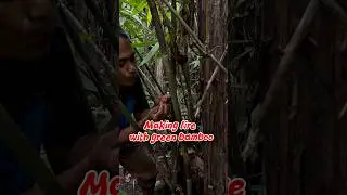 The fire of bamboo forest survival #primitivefirelighting #bushcraft