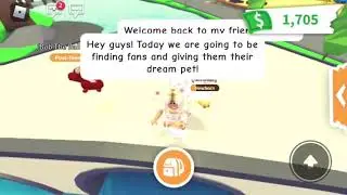 Finding (FAKE) fans in Adopt Me Roblox!