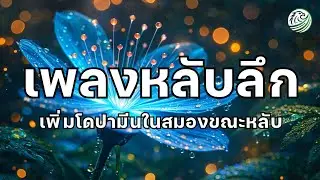 เพลงหลับลึก เพิ่มโดปามีนให้สมองขณะหลับ ผ่อนคลายตลอดคืน เพลงกล่อมนอนผู้ใหญ่ เพลงผ่อนคลายขณะหลับ