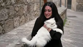 बिल्ली की वफ़ादारी की एक अनकही कहानी | Ek Billi, Ek Ladki aur Wafadari ki Kahani 💔🐾