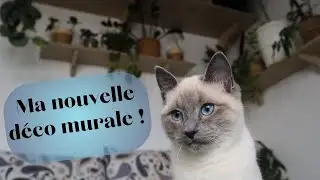JE RÉAMÉNAGE MON APPARTEMENT DE 42 m2 ✨ MA NOUVELLE DECO 🌿 J'AI CRÉÉ UN MUR VEGETAL !