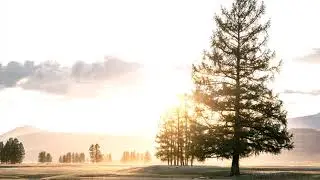 2 Hour Chill Out Mix || future garage. ambient. chillstep.