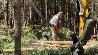 Tree and land care. Washington county Maine.