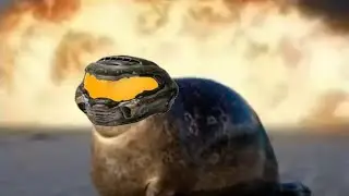 Bouncing Seals Ultimate 2 with doom music | Original video by @Vinesauce688 