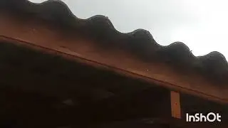 telha  ecológica sobre uma estrutura de madeira!