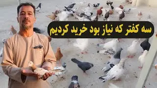 0318/ سه کفتر که نیاز بود خرید کردیم / Afghan Shawqi