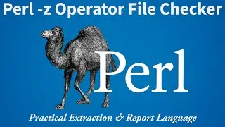 Perl File Handling Trick: Instantly Detect Empty Files with the -z Operator 2026