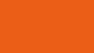 12 Hour Orange Tiger WXGA 1280x720 Silence No Sound #F96714