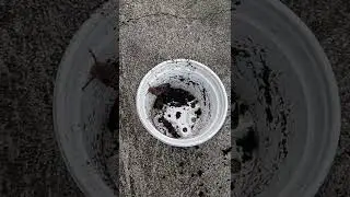 Сделала ему солевую ванну, чтобы смыть часть грязи 🤷🏾&zwj;♀😉 Спокойной ночи, улитка
