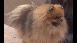 Маленькие, да удаленькие - в программе 