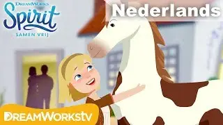 Ontstaan van een vriendschap: Abigail and Boomerang's verhaal | SPIRIT - SAMEN VRIJ
