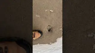 The Beach Is Alive - Frozen Sand Ice Mix Magic