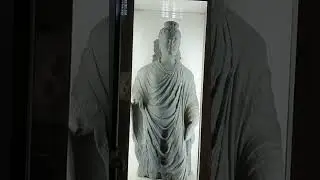Buddha's history & death in India #india #buddha #pakistan #shorts