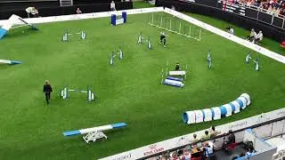 GROM Redas Masiulis Large Agility AWC 2019