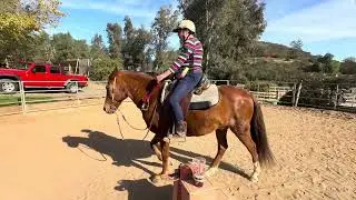 December Unbridled Pleasure Class