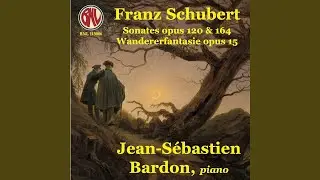 Wandererfantasie, Op. 15: I. Allegro con fuoco ma non troppo