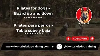 Pilates for dogs - Board up and down