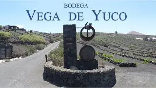 Bodega Vega de Yuco Enoturismo Lanzarote vinos Yaiza