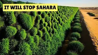 The Wall That Can Stop the Sahara: Africa&rsquo;s Incredible Green Wall
