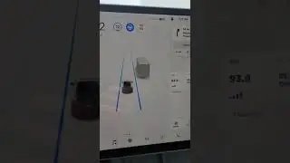 Tesla Model Y Pure Vision Camera Calibration and Visualization 2