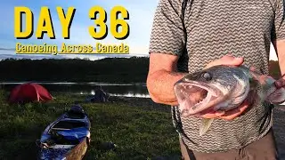 Day 36 canoeing across Canada [27]
