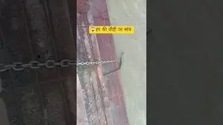 her her mahadev #ytshort #shortvideo #snake #river #like