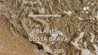 Sea Waves in Blanes | A Wonderful Day on the Costa Brava  🌊