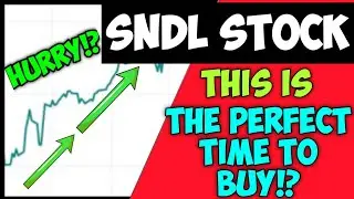 SNDL STOCK ANALYSIS + PREDICTIONS - WILL SNDL STOCK GO BACK UP THIS WEEK & SHOULD YOU BUY NOW!?