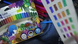 REVIEW SPIDOL LUNA STAEDTLER FIBRE TIPS PENS 24