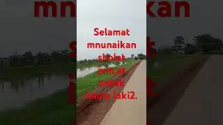 Jum,at berkah.muamar za. #merdu #lantunanquran #qory