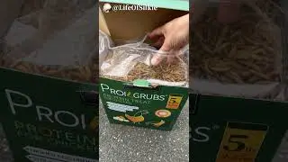 Unboxing PROILGRUBS Dried Black Soldier Fly Larvae #backyardchickens #freerangechickens