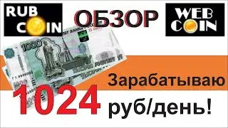 Заработок 1024 руб. в день.  Обзор Rub Coin и Web Coin