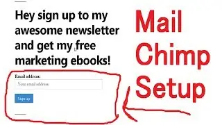 How to Setup Mailchimp on WORDPRESS 🐵  Free WP Mailchimp Plugin Tutorial