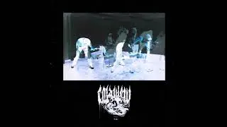 Cold View - Energy 2022 (Full EP)