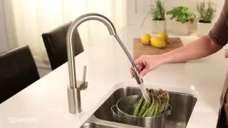 Moen Align Pull-Down Kitchen Faucet