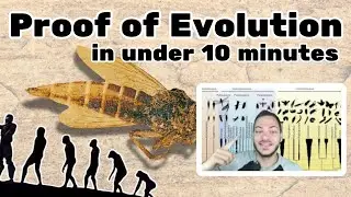 Indisputable Evidence for Evolution in 5 Minutes