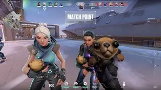 In the Bear, we Trust | VALORANT  Swiftplay w/Omen
