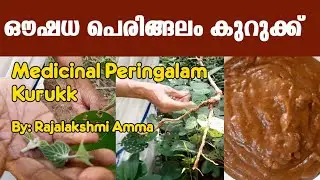 Peringilam Kurukk | പെരിങ്ങലം കുറുക്ക് | രോഗ പ്രതിരോധത്തിനുള്ള ഒറ്റമൂലി | Immunity Booster Ottamooli