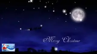 🎵CAROL OF THE BELLS🎵🌲MERRY MERRY CHRISTMAS 🌲
