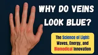 Why Do Veins Look Blue? The Science of Light : Waves, Energy and Biomedical Innovation