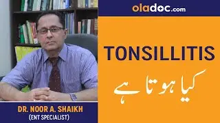 What is Tonsillitis Kya Hota hai Urdu Hindi | Tonsillitis Function | Chronic Rhinitis