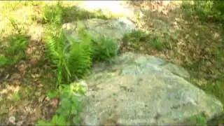 East Mountain Properties