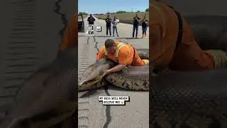 O.o Giant Active Snake in madeAi. Source : UNILAD #viral #shorts #youtubeshorts #brazil #mexico
