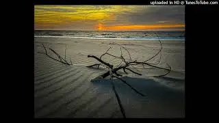 Peace (Instrumental) - By Wikash Orlando