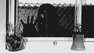 THE CRIPPLER - i&rsquo;m just gonna let myself in